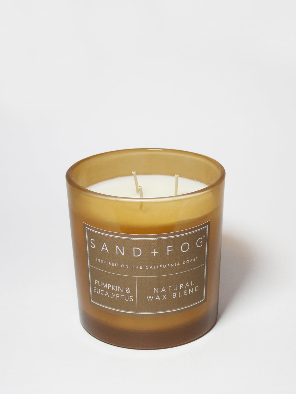 Cozy Pumpkin & Eucalyptus 21 oz scented candle