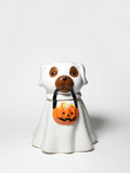 Cozy Sand + Paws Jack-o'-Lantern 11 oz scented candle
