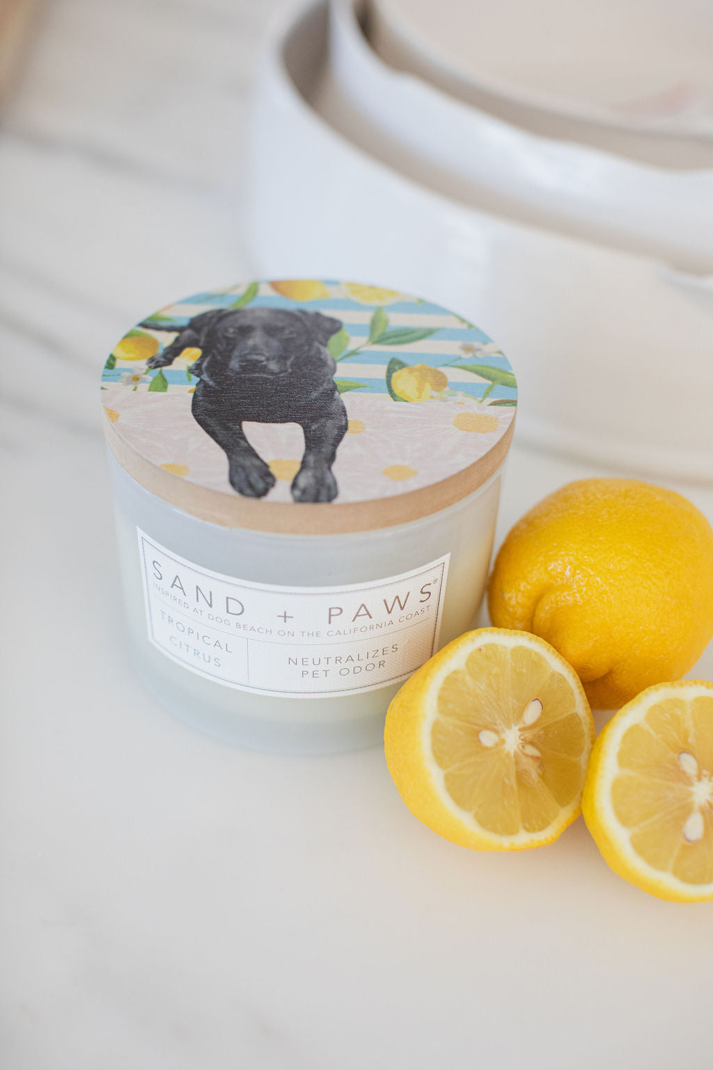 Cozy Sand + Paws Tropical Citrus 12 oz scented candle