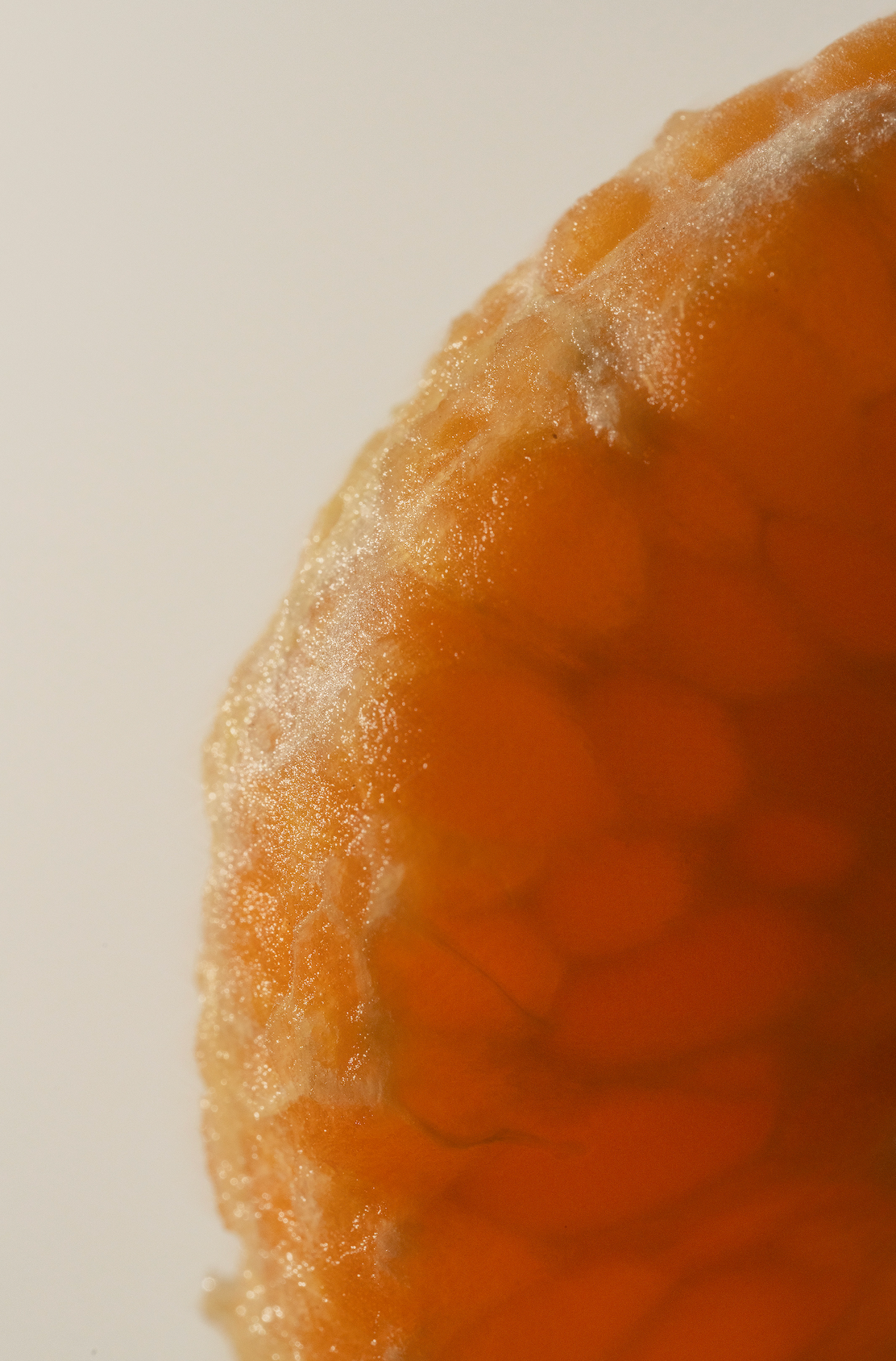 Elegant Eau No You Don't 70 ml Eau de Toilette