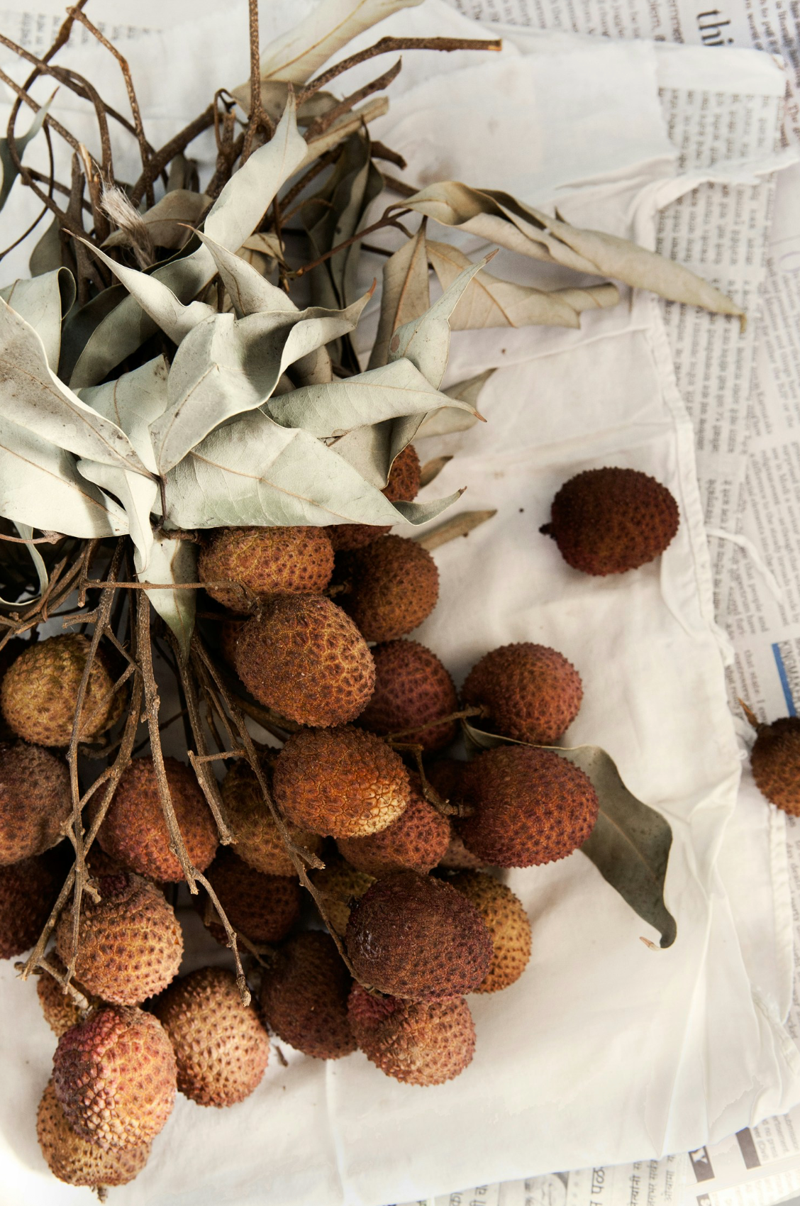 Cozy Coconut & Lychee 10 oz scented candle