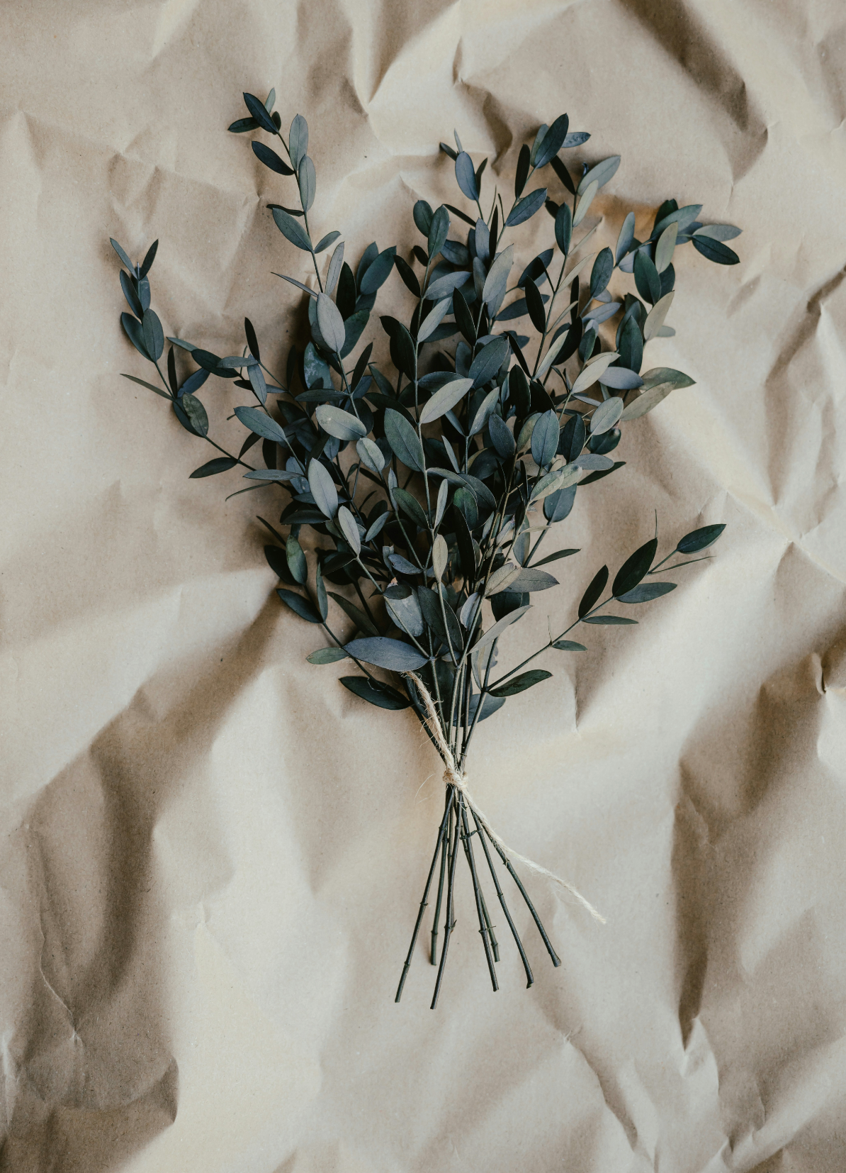 Aromatic Eucalyptus 100 ml Room Spray