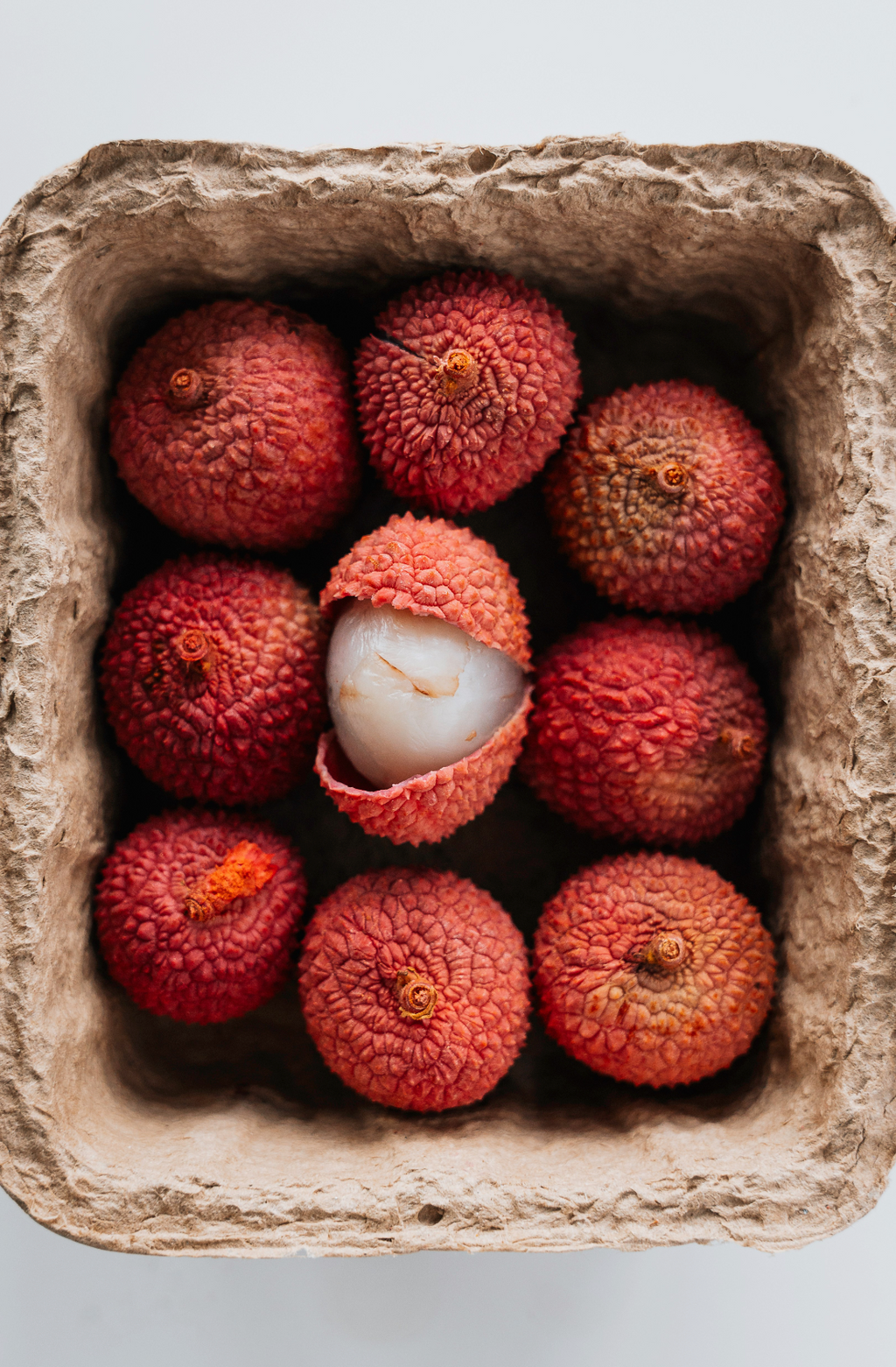 Cozy Lychee & Currant 12 oz scented candle