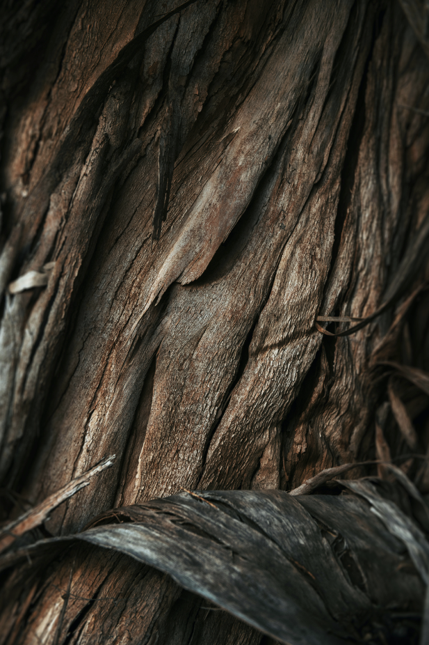 Nourishing Vanilla Sandalwood 32 oz Body Wash