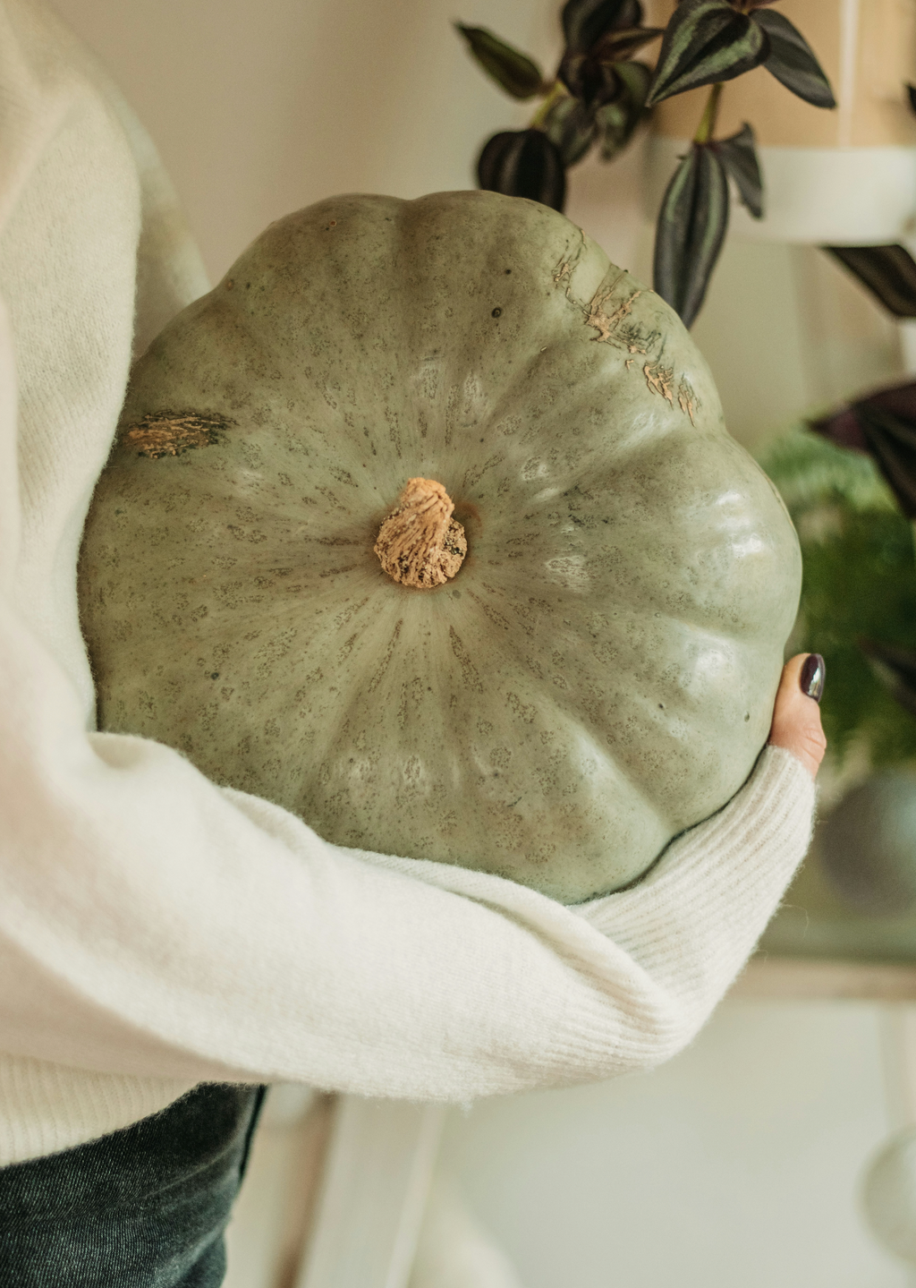 Gentle Sage Pumpkin 8.45 oz Liquid Hand Soap
