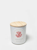 Cozy Tropical Citrus 10 oz scented candle