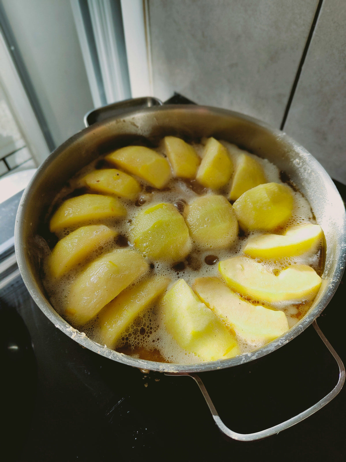 Cozy Sand + Paws Apple Cider 12 oz scented candle